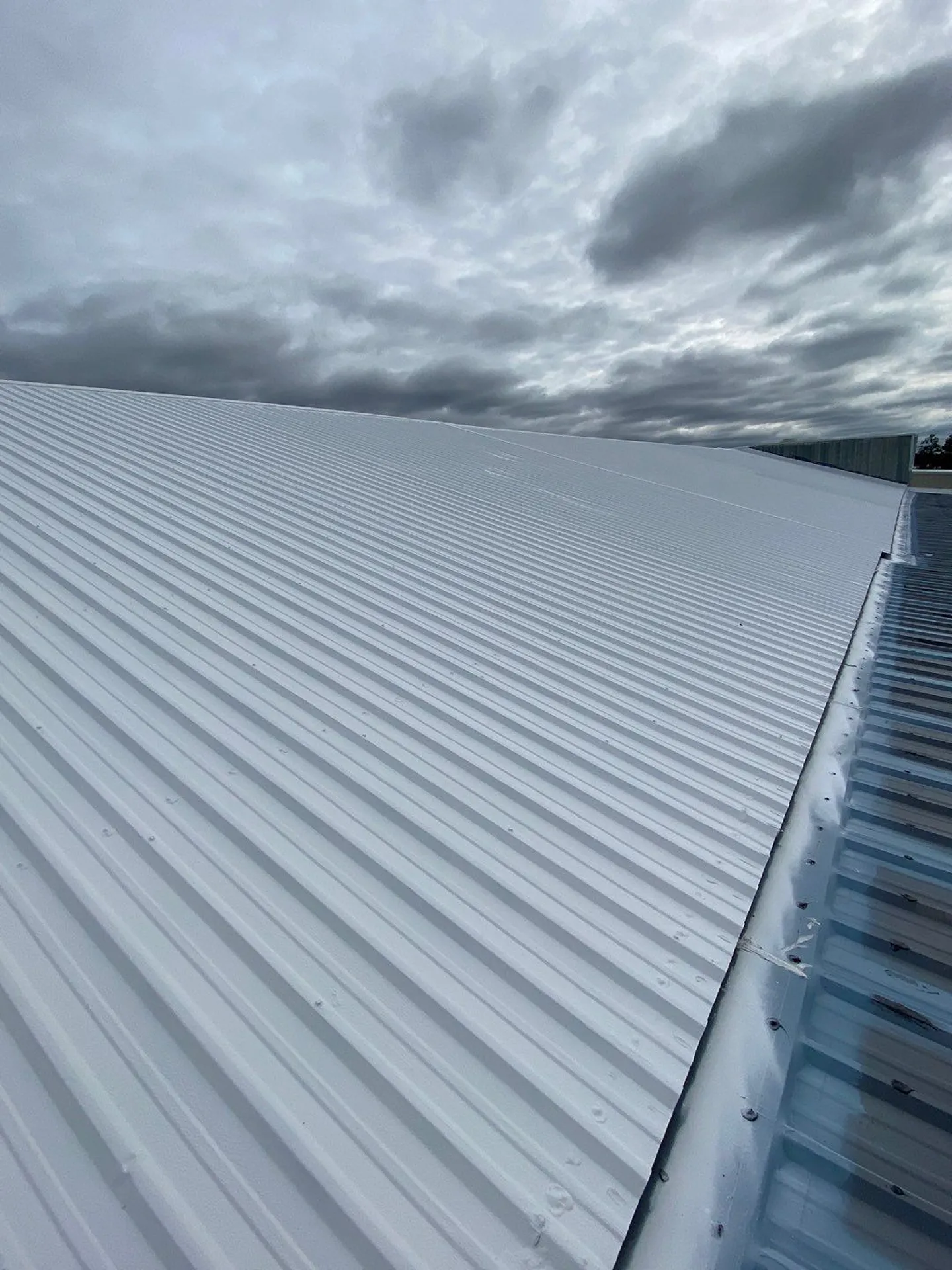 Altamaha_Roof__Down_Net_Http20250605_120_Snz1zq