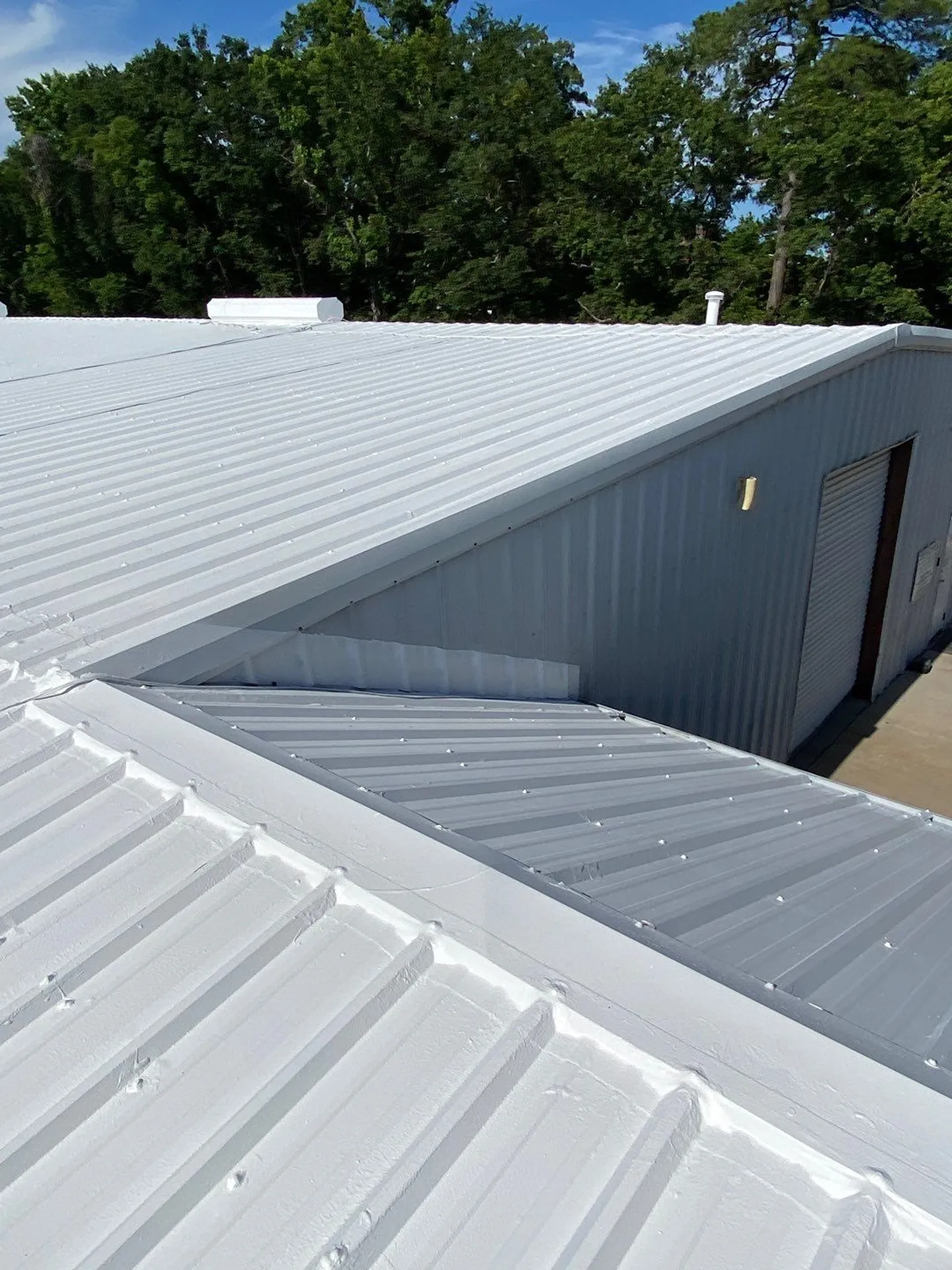 Altamaha_Roof__Down_Net_Http20250605_69_7Eswro