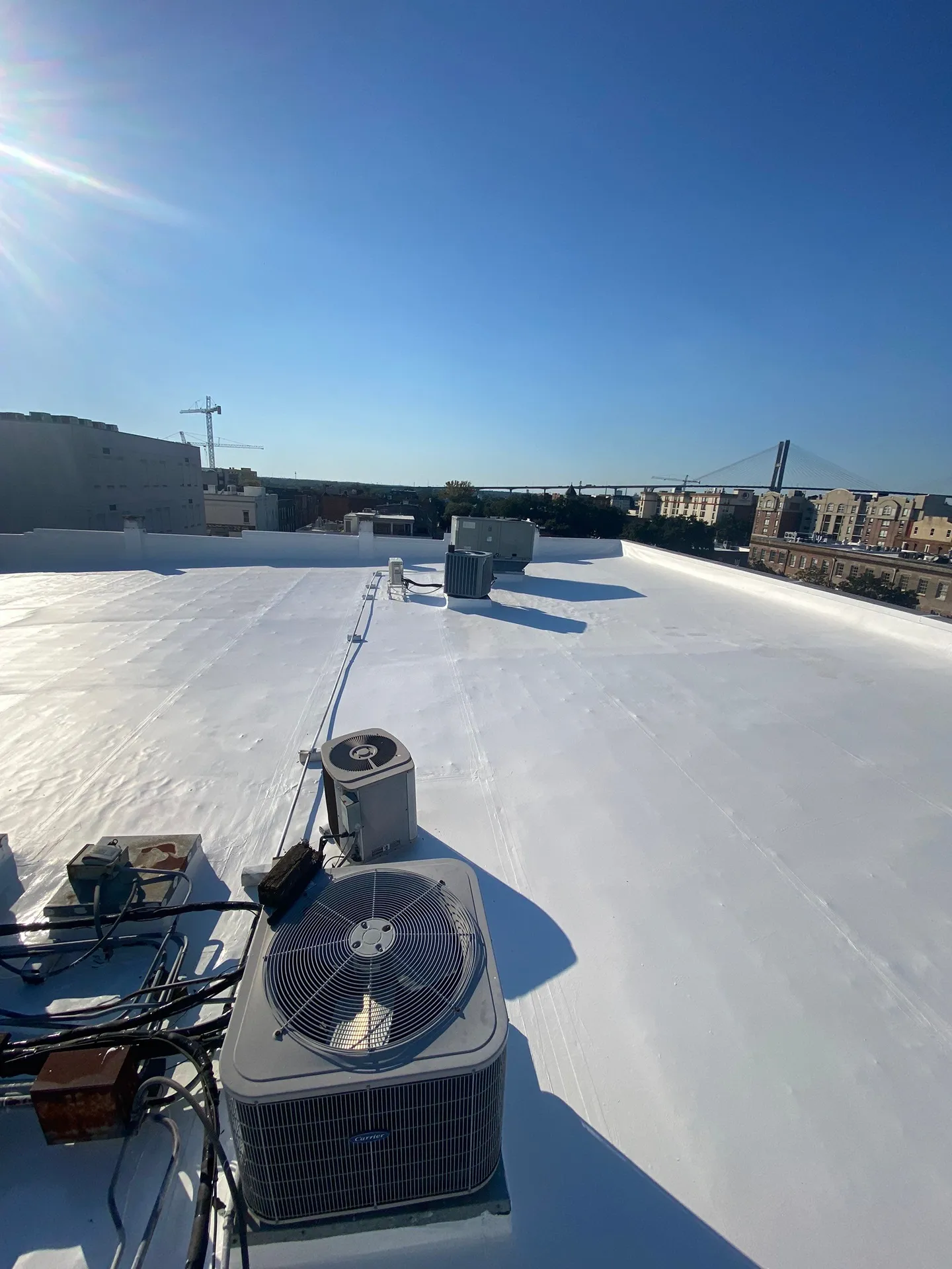 Altamaha_Roof__Down_Net_Http20250605_69_Mbtfp0